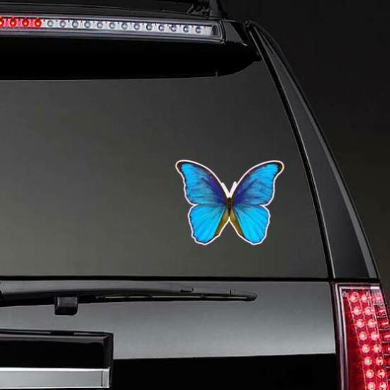 Butterfly Morpho Didius Sticker | Butterfly Stickers Butterfly Stickers Butterfly Stickers