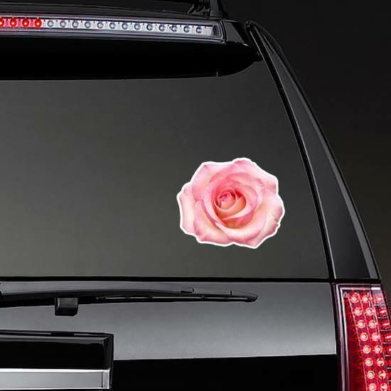 Fully Open Gentle Pik Rose Sticker | Rose Flower Stickers Flower Stickers Rose Flower Stickers