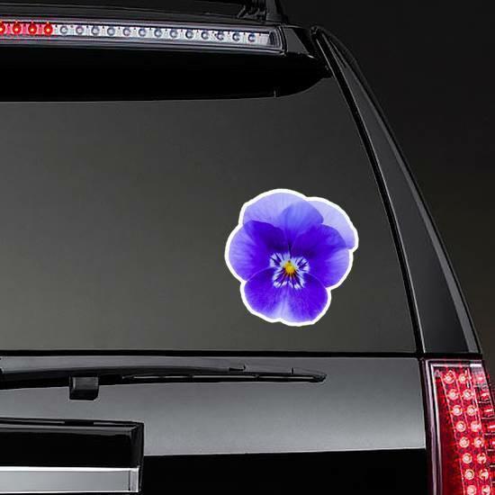 Horned Pansy Isolated On White Sticker | Pansy Flower Stickers Flower Stickers Pansy Flower Stickers