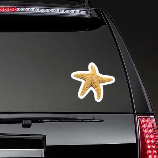 Mediterranean Starfish On A White Sticker | Starfish Stickers Hawaiian & Tropical Stickers Starfish Stickers