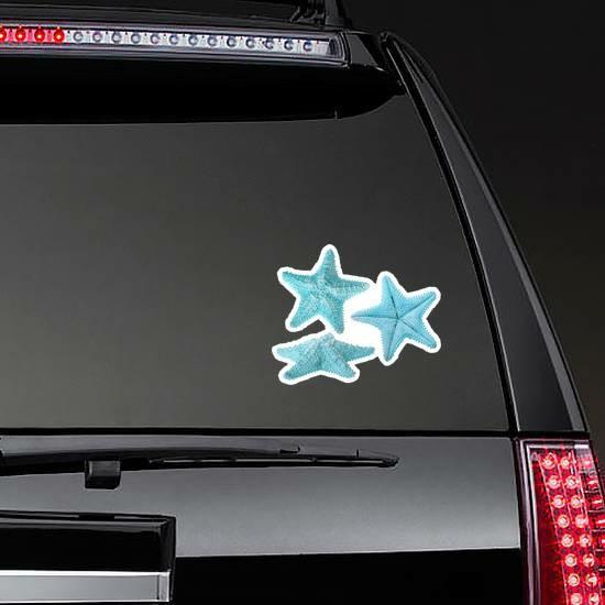 Set Of Light Blue Starfishes Isolated Sticker | Starfish Stickers Hawaiian & Tropical Stickers Starfish Stickers