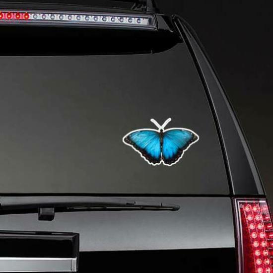 Turquoise Blue Morpho Butterfly Sticker | Butterfly Stickers Butterfly Stickers Butterfly Stickers