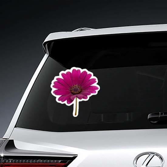 Beautiful Purple Daisy Sticker | Daisy Flower Stickers Daisy Flower Stickers Daisy Flower Stickers