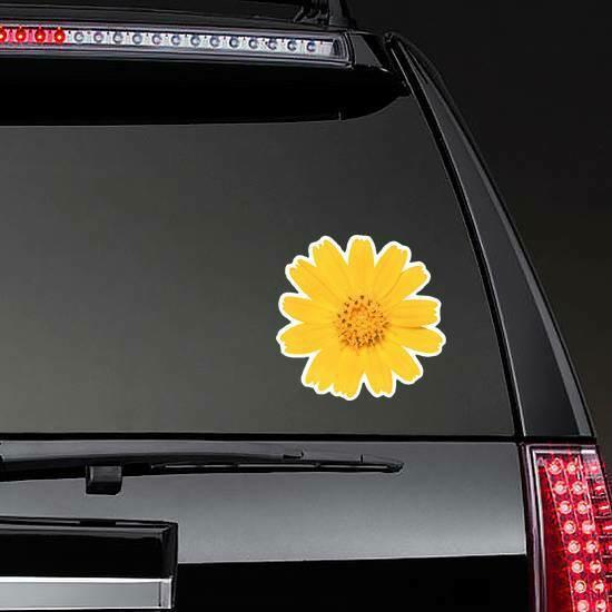 Yellow Creeping Daisy Sticker | Daisy Flower Stickers Daisy Flower Stickers Daisy Flower Stickers