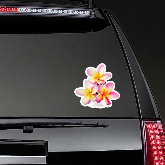 Three Colorful Plumeria Or Frangipani Flowers Sticker | Plumeria Flower Stickers Flower Stickers Plumeria Flower Stickers